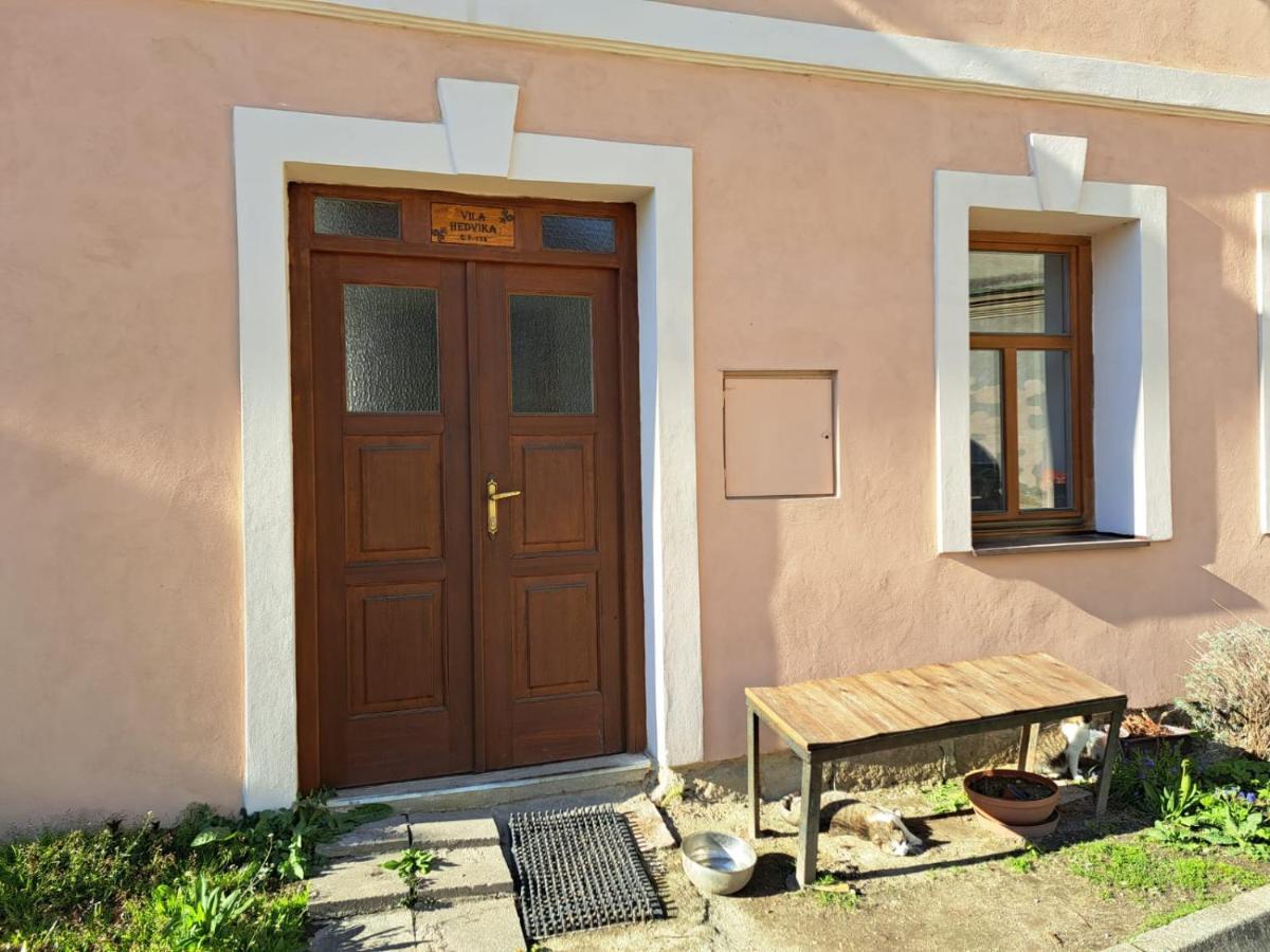 Vila Hedvika Nové Hrady Exterior foto